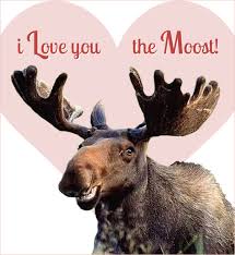 moose Love.jpg